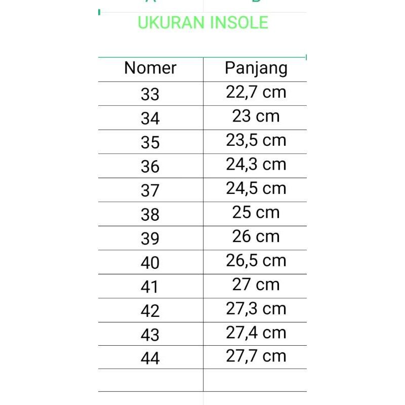 ALAS KAKI DALAM SEPATU INSOLE MANGKOK BUAT SEPATU  RUNING, PANTOPEL  / The best shoes