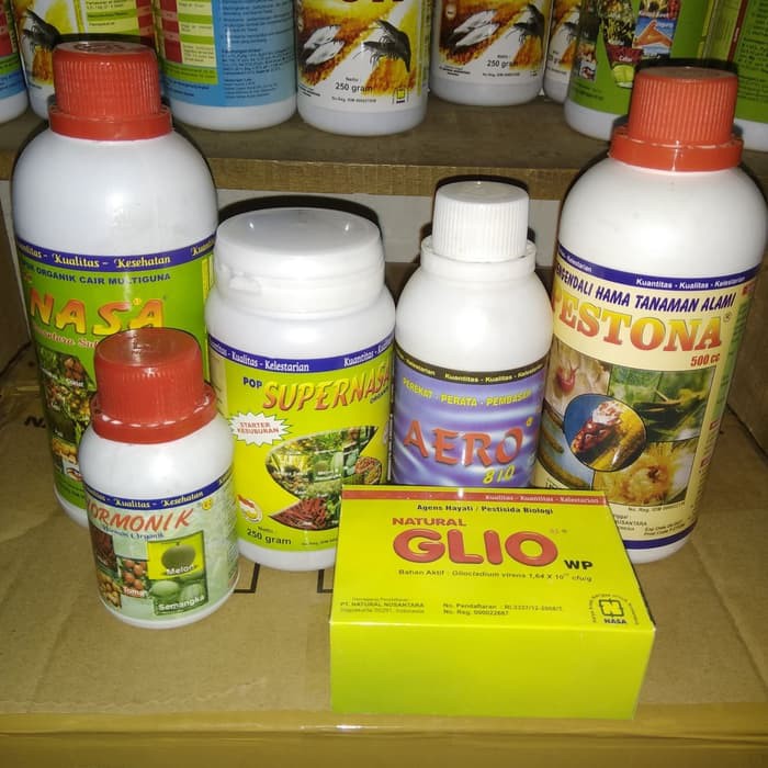 BUDIDAYA JAGUNG ORGANIK NASA | PAKET PUPUK JAGUNG NASA LENGKAP