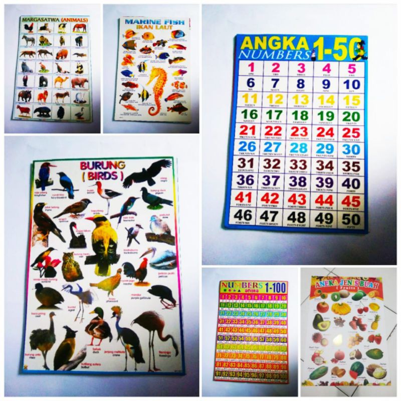 Poster anak,Poster edukasih,Poster anak, poster edukasi pengenalan huruf berhitung tempelan huruf/poster anak/edukasi/poster dinding