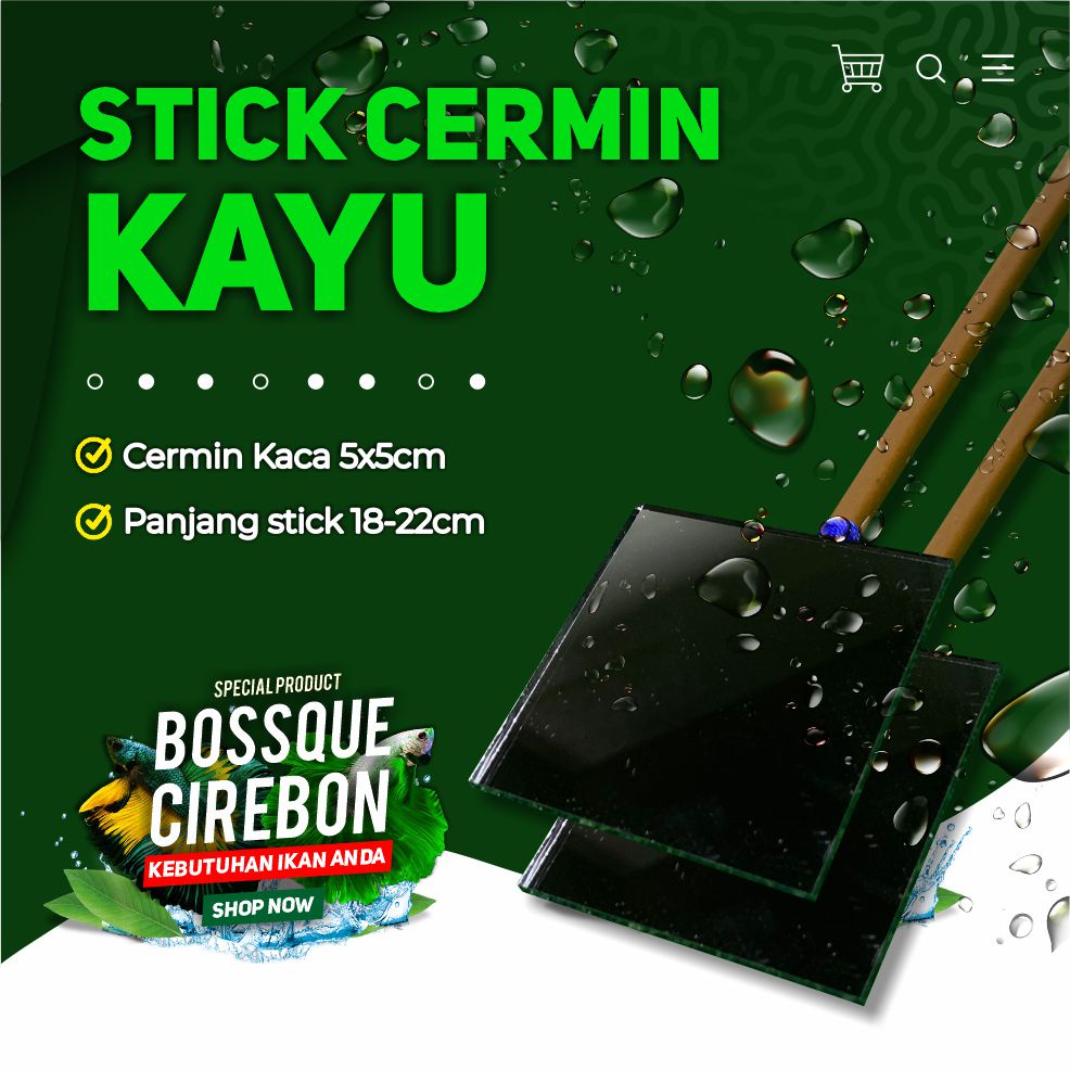 Stick Kaca Cermin Mental Ikan Cupang Channa Latihan Mental Flare Stick Cupang Ngedok