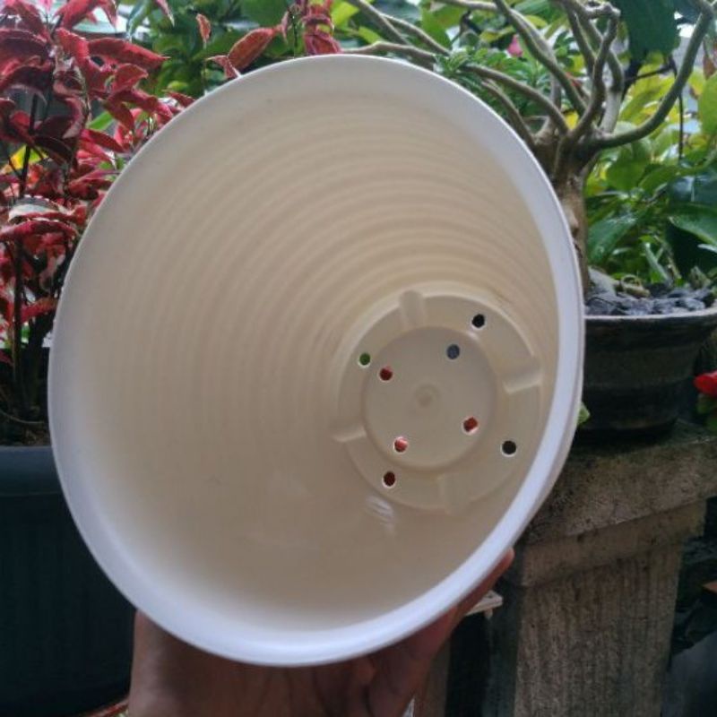 POT SUPER TAWON 21 PUTIH POT BUNGA TANAMAN HIAS