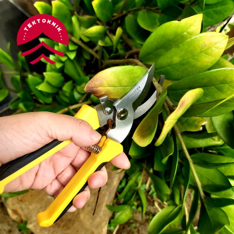 HASSTON PROHEX 1353-005 - Gunting Dahan Bunga Ranting Bonsai Stainless Steel