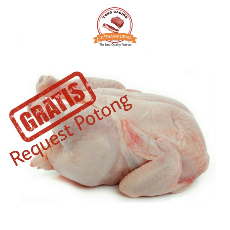 

Ayam Broiler Fresh segar
