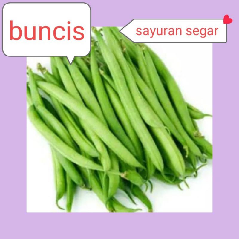 

BUNCIS