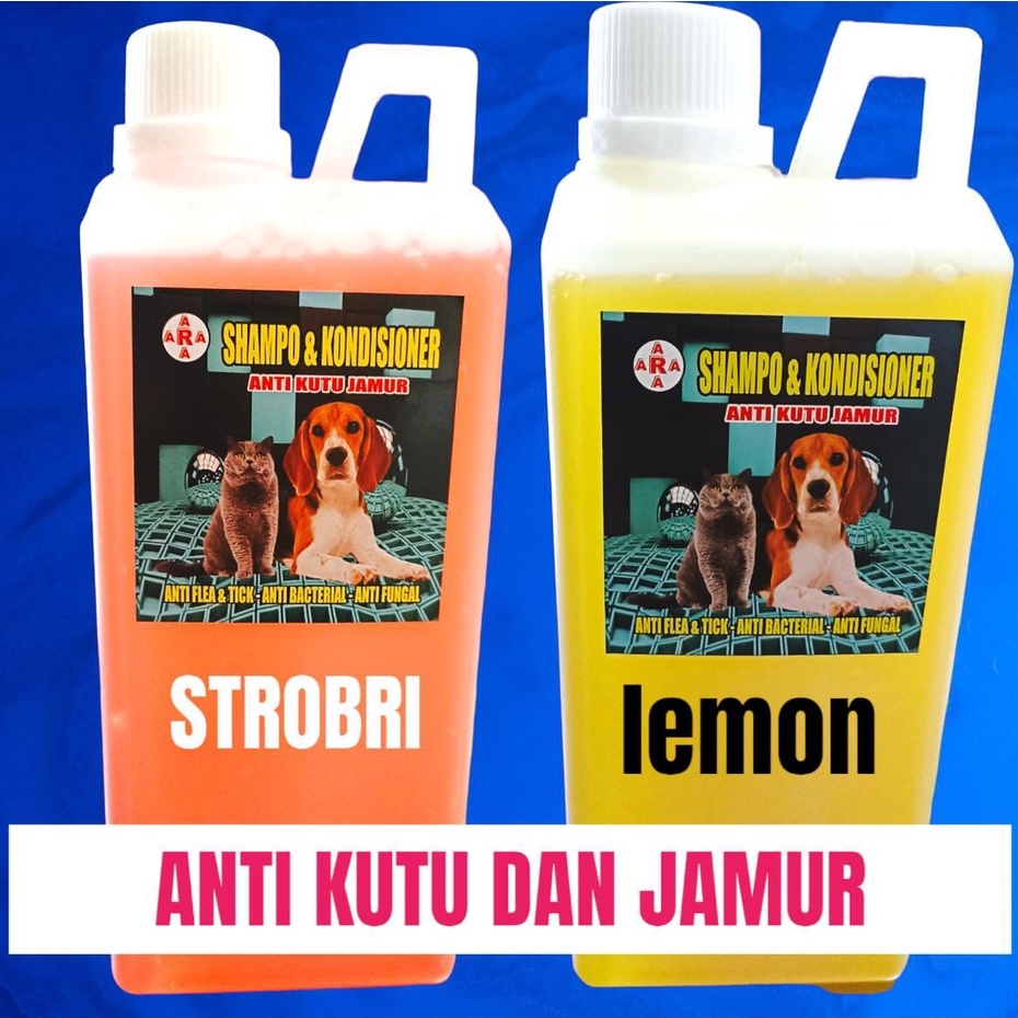 Shampo jamur &amp; kutu 1000 ml anti bacterial untuk kucing/anjing dan hewan piliharan