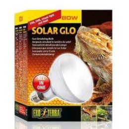 

Lampu UVA UVB Exoterra Solar Glo 80w Lampu Reptil Lampu Penghangat Hewan