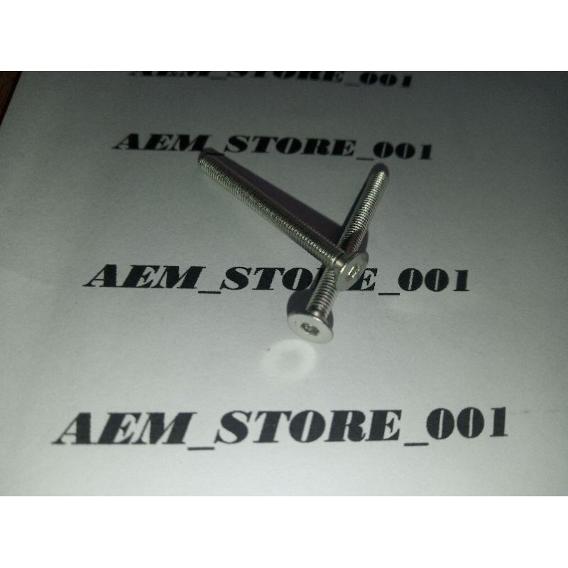 verseng L M3 x 30(3cm) stainless 304