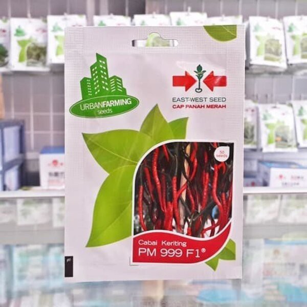 Benih Bibit Cabe Keriting PM 999 F1 50 Biji Cabai Hibrida Panah Merah