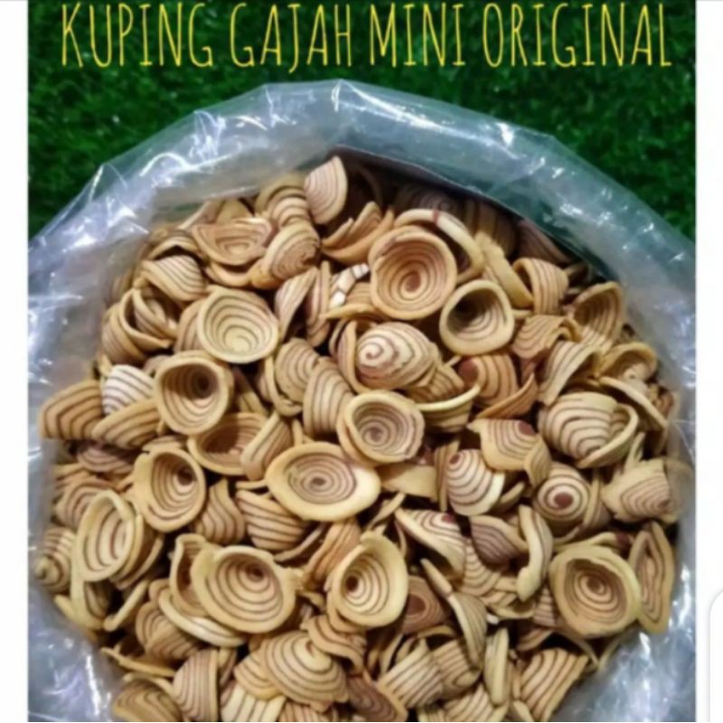 

Camilan kuping gajah mini ori/kuping gajah mini