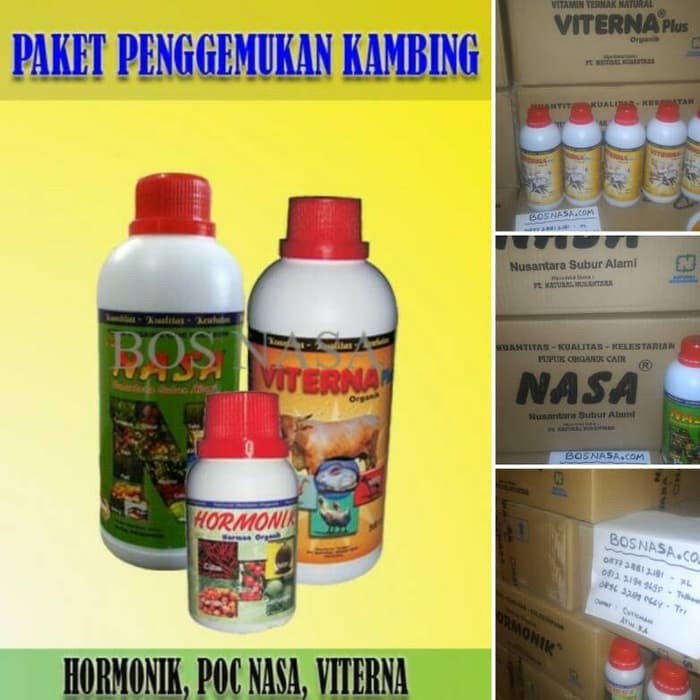 Vitamin PENGGEMUK KAMBING TERLARIS ( POCNASA VITERNA HORMONIK )