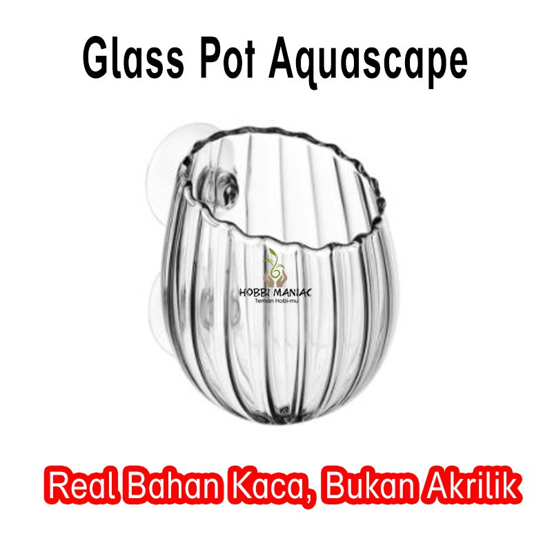 Glass Pot Aquascape Serbaguna Pot Kaca Tanaman Aquascape