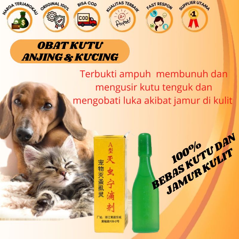 Obat kutu Kucing Dan Anjing OBat Anti Kutu Tetes Tengkuk 2.5 ml