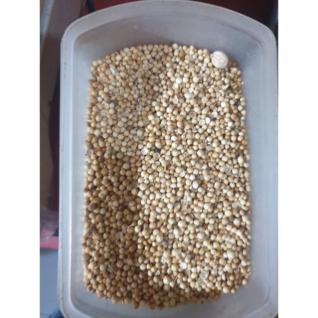 

Rempah Ketumbar 100gr