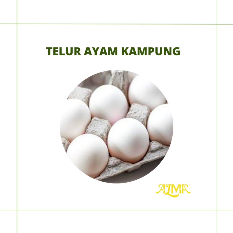 

TELUR AYAM KAMPUNG