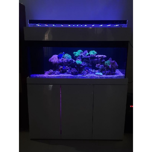 aquarium air laut 120cm