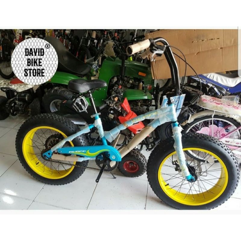 Sepeda Avand Fatbike 20" TERBARU