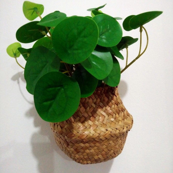 tanaman hias plastik gantung