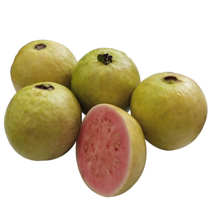 

Buah Jambu Biji Merah 900g - 1kg