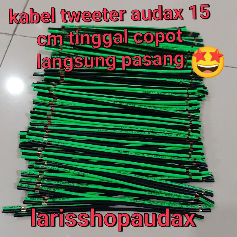 KABEL AUDAX 15 cm TWEETER WALET