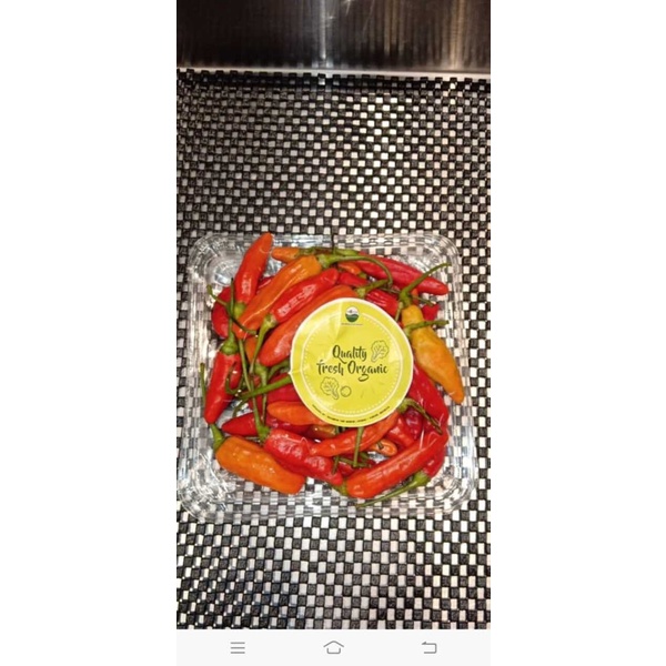 

Cabe Rawit Merah 100Gr Pack