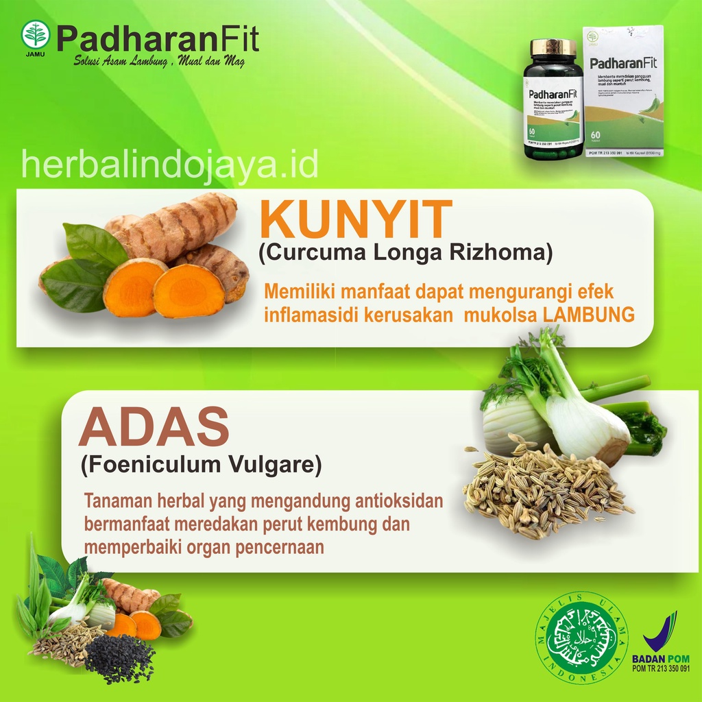 PADHARANFIT | HERBAL ALAMI ATASI ASAM LAMBUNG MUAL DAN MAG | OBAT HERBAL ASAM LAMBUNG | ATASI MUAL | PADHARAN FIT | PADHARANFIT-2