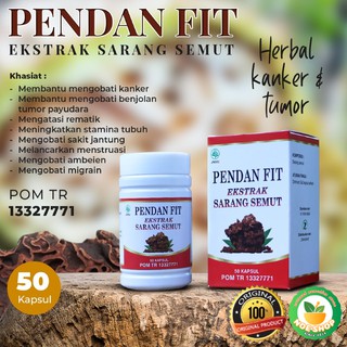 Kapsul Ekstrak Keladi Tikus Addawa Obat Herbal Kanker Tumor Original Pom Shopee Indonesia