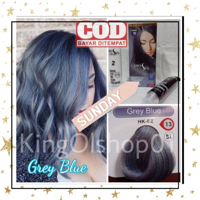 Cat Rambut Diosys Grey Blue Ash HK-EZ 13 ( cat 100ml + Oxydant 100ml ) diosis hair color01