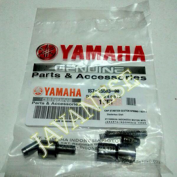 pelor stater jupiter mx