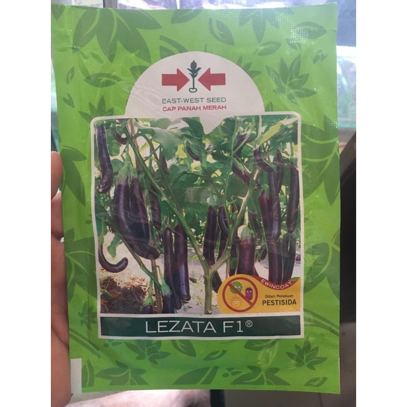 Benih terong ungu lezata f1