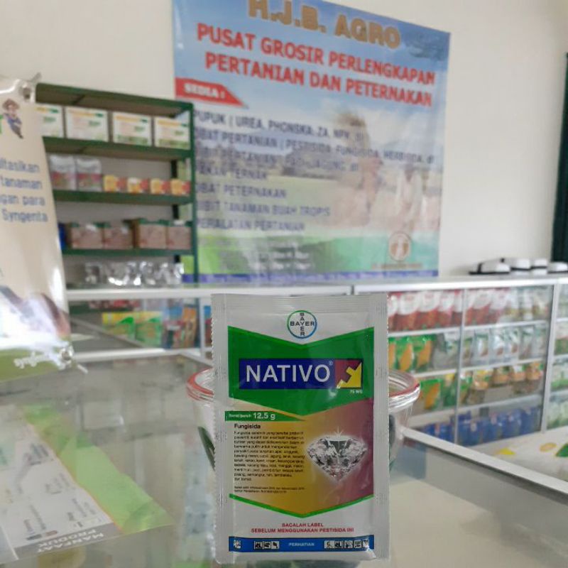 Fungisida Nativo 12.5 gram