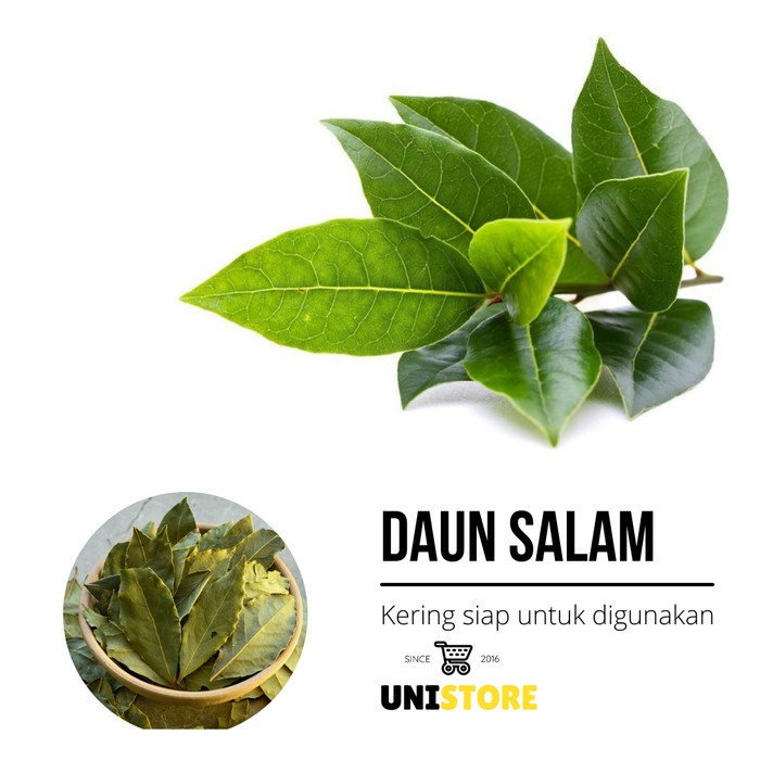 

New Daun salam kering - bumbu dapur / masak