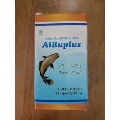 ikan gabus ikan kutuk albu plus albuplus albumin ikan