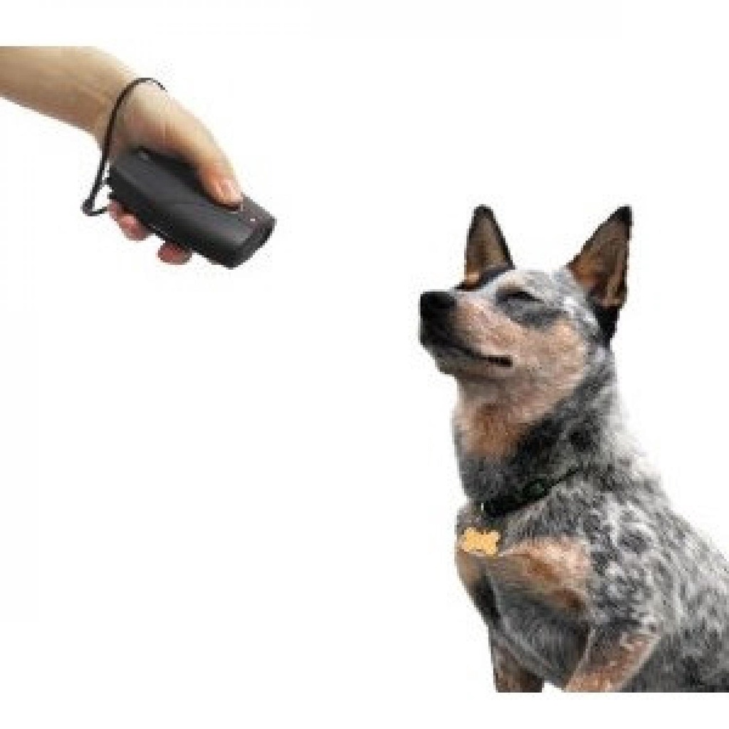 ILOPETS Ultrasonic Dog Repeller Training + 2 Flashlights - TJ-3008-Hitam