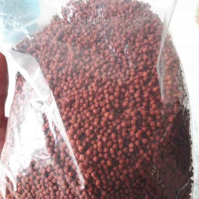 Pelet louhan size medium super red import Thailand