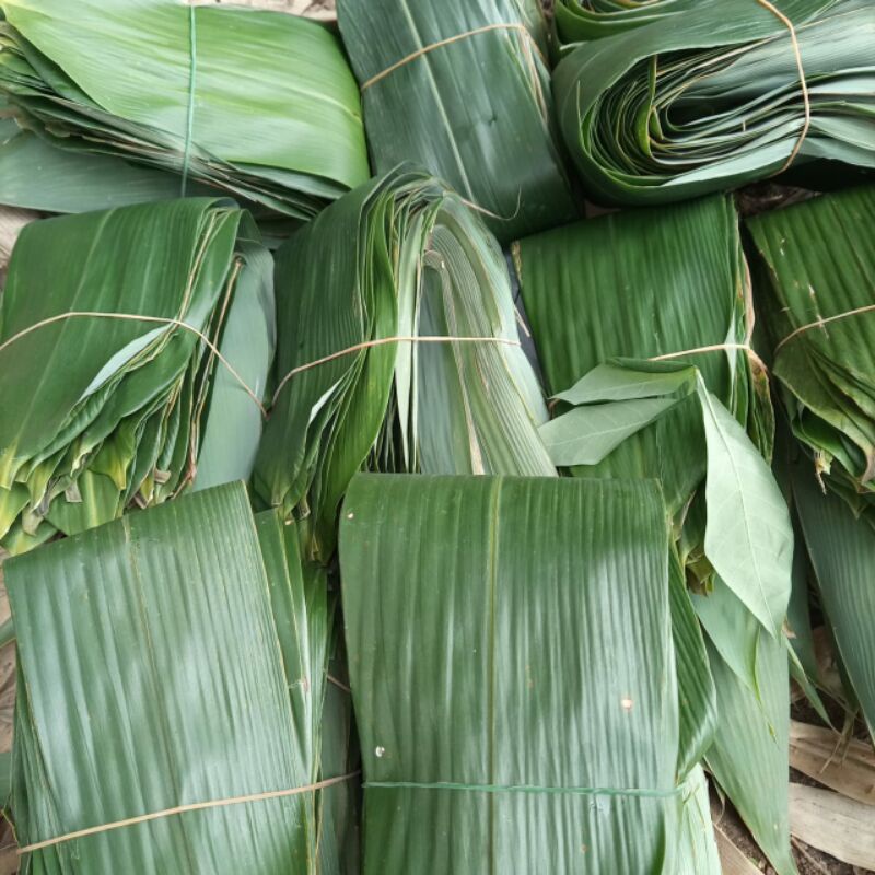 

DAUN BAMBU JUMBO BAKCANG / DAUN BACANG MURAH PER 100 LEMBAR / DAUN BAMBU / BUNGKUS BAKCANG / LAPIS BANDENG PRESTO / DAUN HERBAL