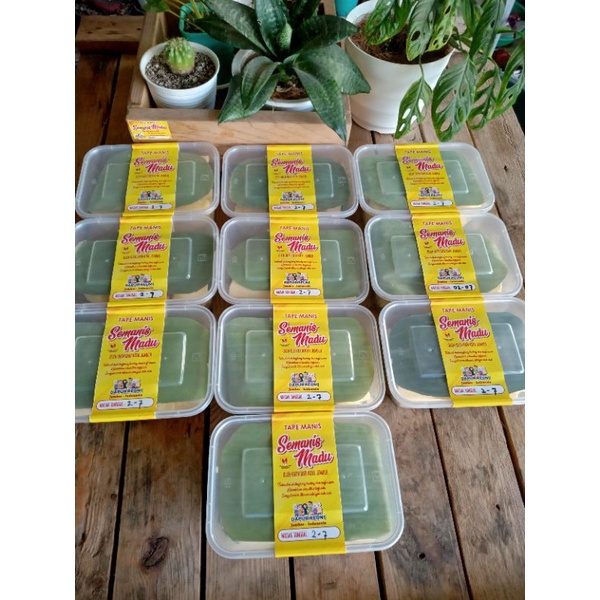 

Tape manis semanis madu (Tape oleh oleh khas jember)