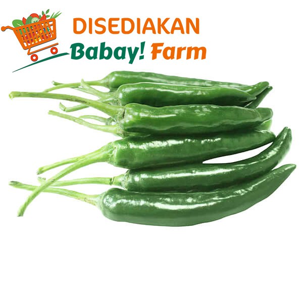 

Cabe Hijau Besar 250 gr
