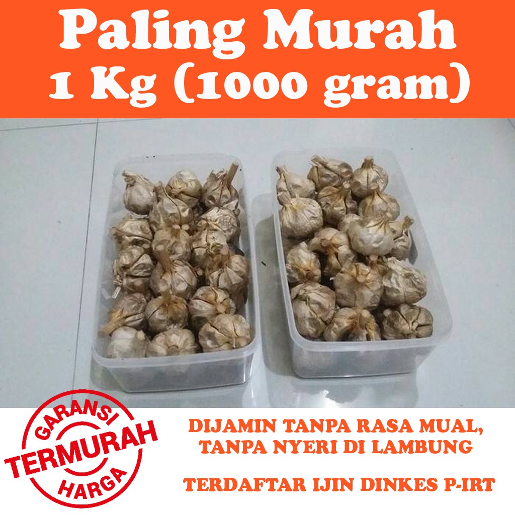 BLACK GARLIC BAWANG HITAM BONGKOL KATING - 1 KG