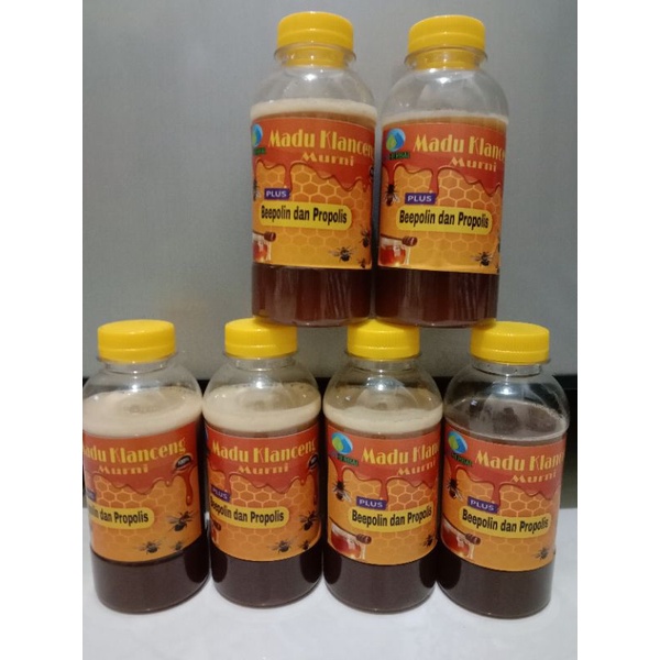 

madu(klanceng/ kelukut) murni asli 100% original madu+ beepolen dan propolis