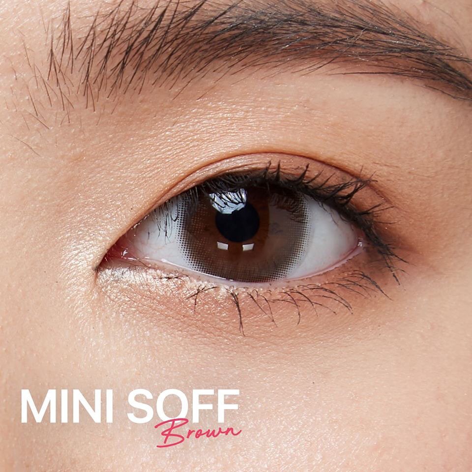 softlens kitty kawaii mini soff brown