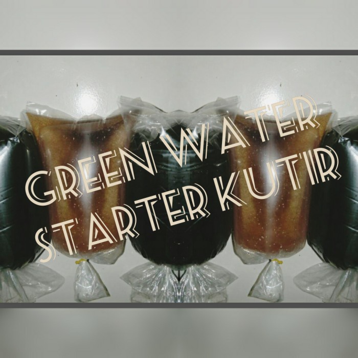 Fsfs650 Air Hijau Chlorella Starter Kutu Air Fdfe240
