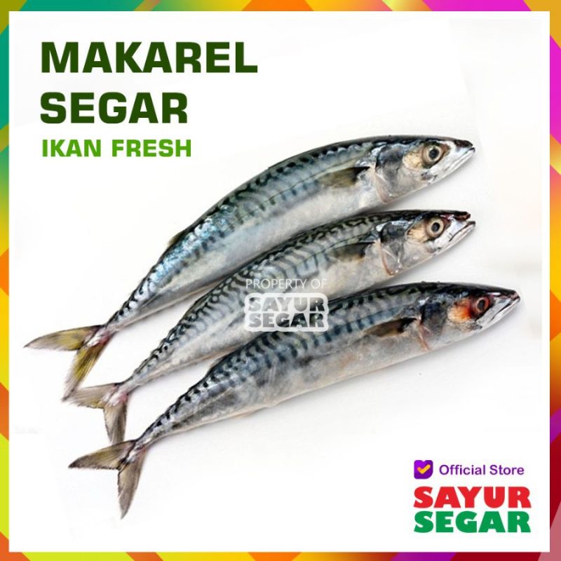 

500 gram ikan makarel atau sarden segar fresh