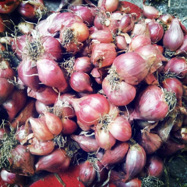

Bawang merah kering