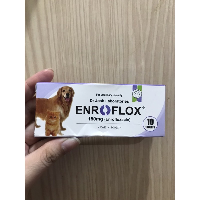 Obat Flu kucing Ampuh, ENROFLOX