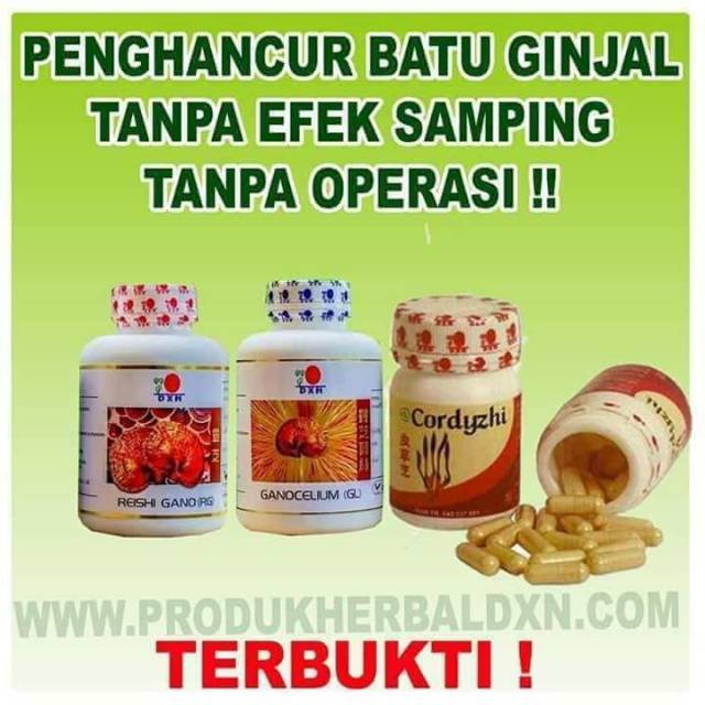 Paket obat penghancur batu ginjal dxn.