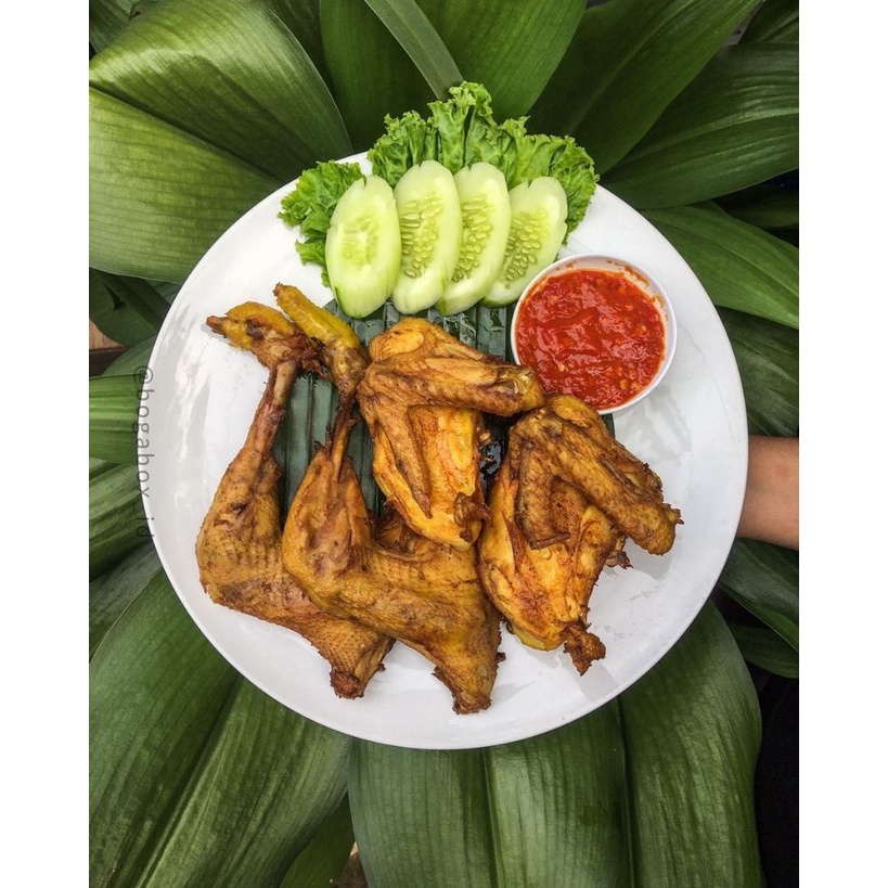 

Ayam Kuning Kampung