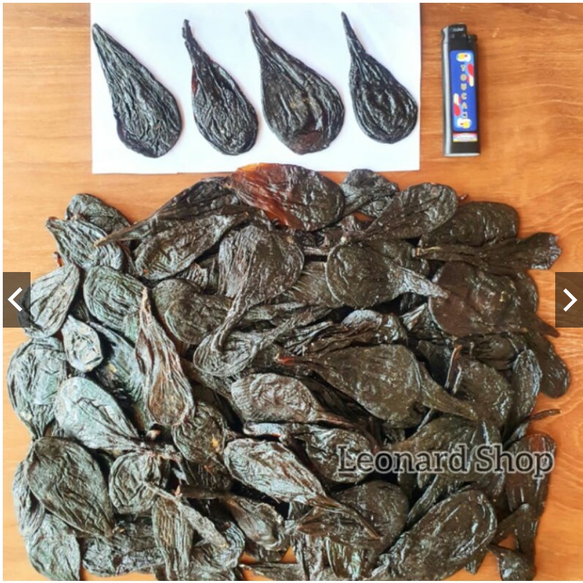 

Empedu Ular Piton / Sanca 100% Asli Besar Kering / Bukan Cobra Obat Herbal Kesehatan Kulit , Menyembuhkan Jerawat , Menurunkan