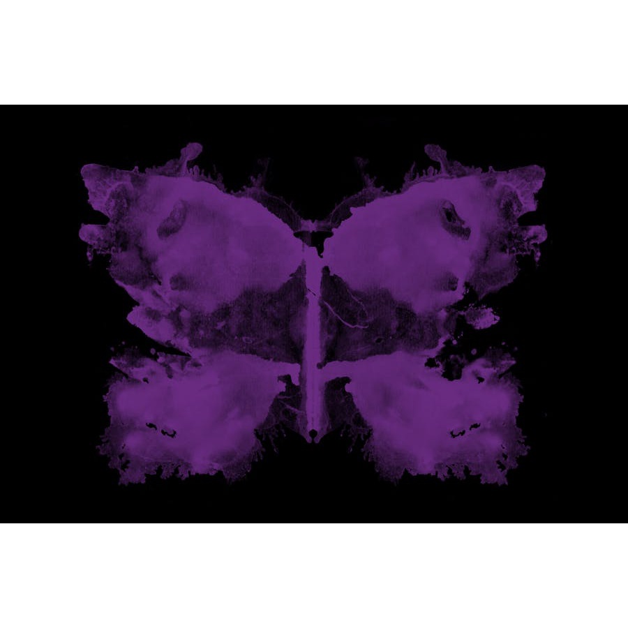 75 Rorschach Butterflies - Photoshop Brushes