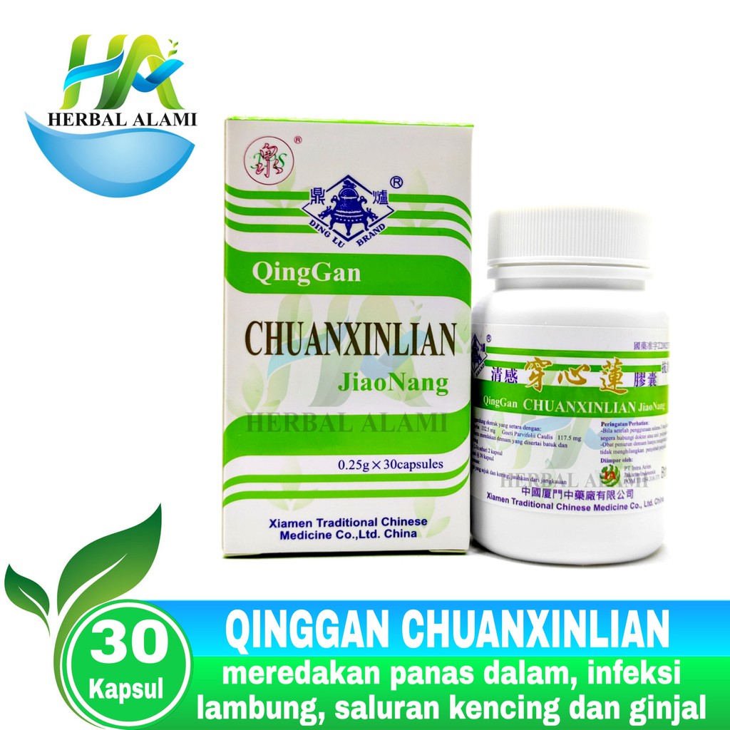 QingGan ChuanXinLian HIJAU MUDA - obat batuk demam tenggorokan kering / Chuan Xin Lian