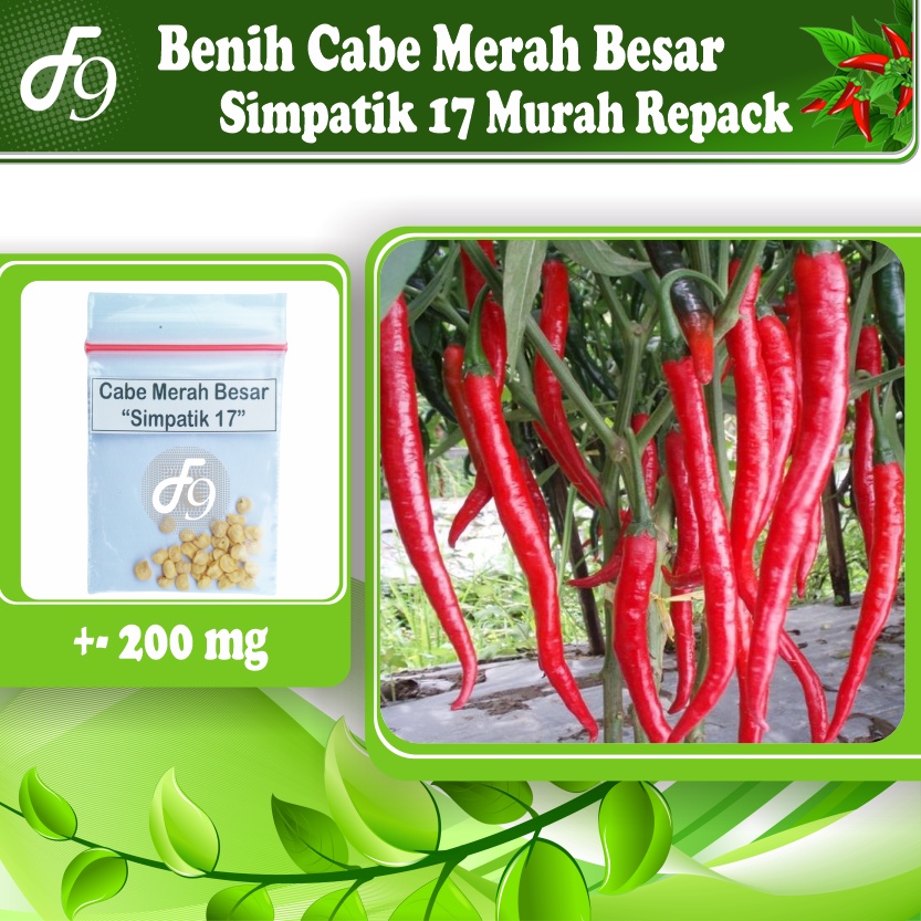 Benih Bibit Cabe Merah Besar Murah Repack Seribuan